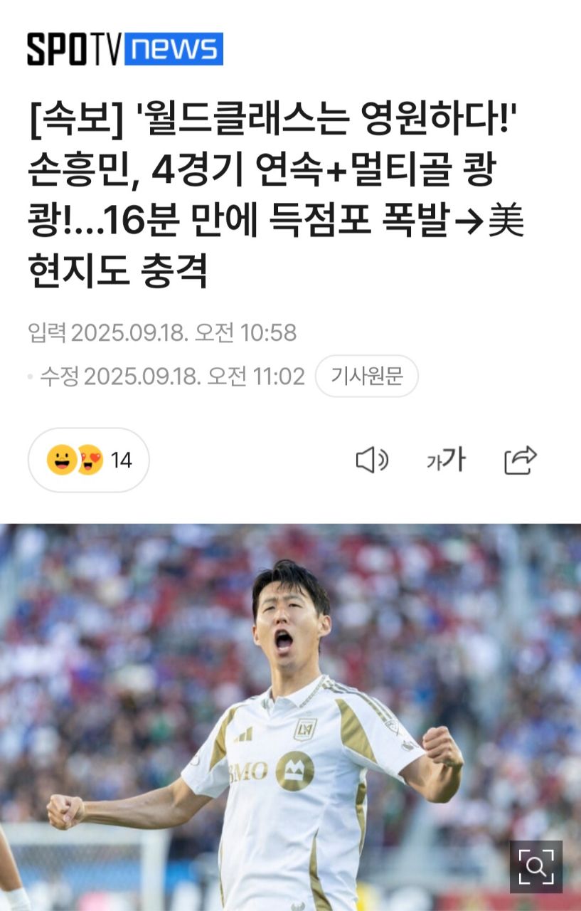 피드 이미지