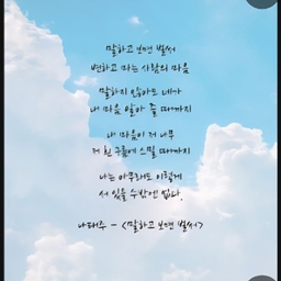 피드에 업로드 된 이미지