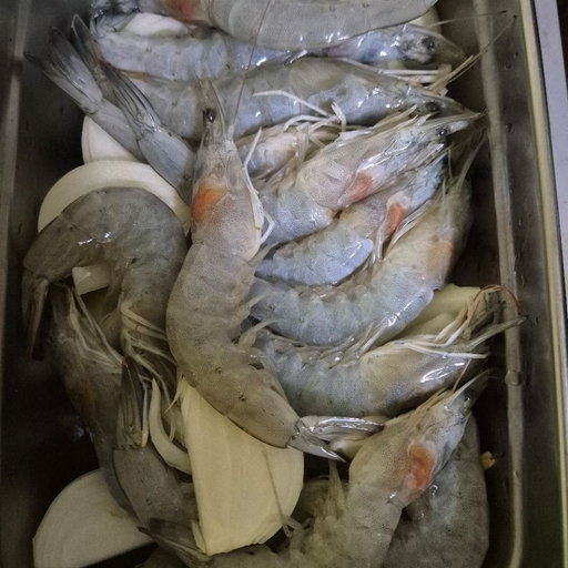 피드 이미지