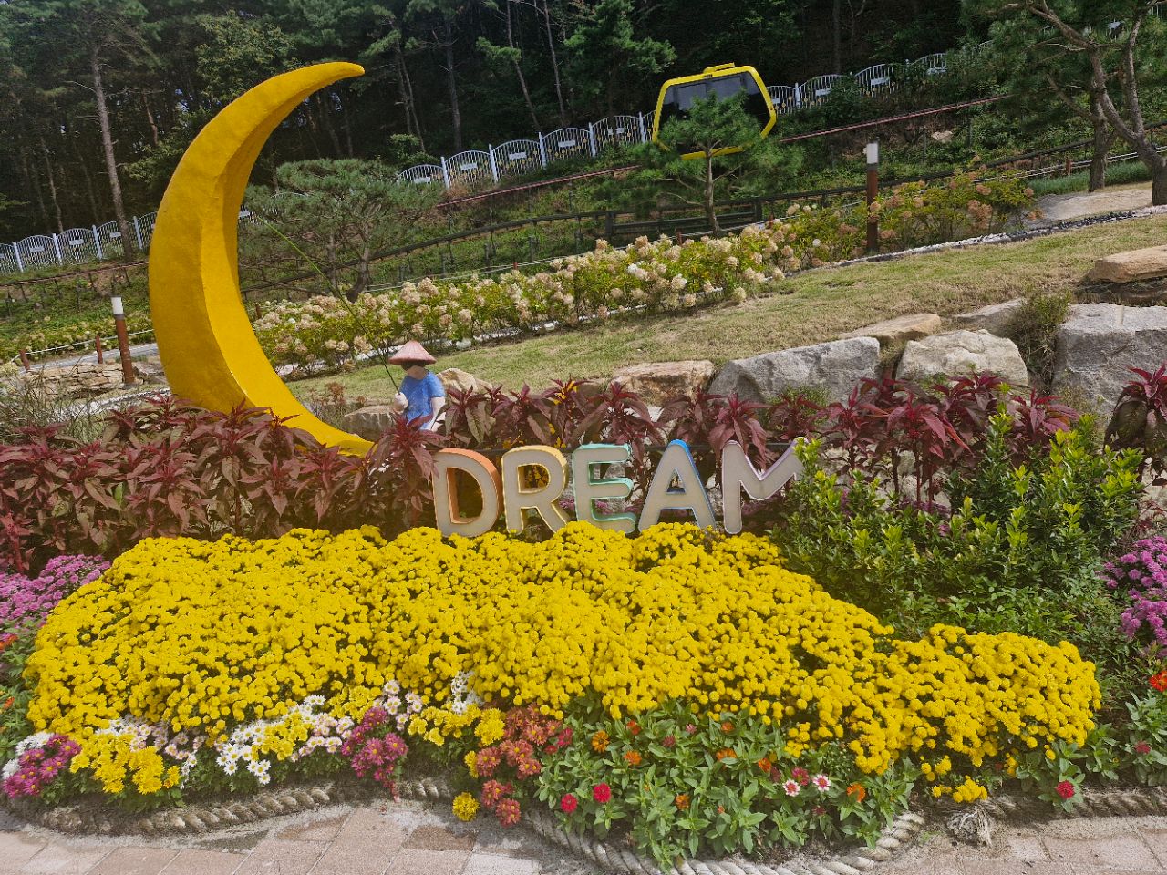 피드 이미지