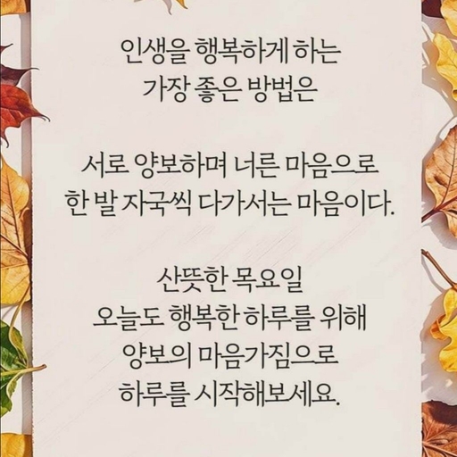 피드 이미지