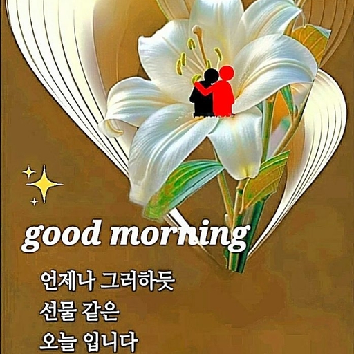 피드 이미지