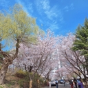 참가 유저 프로필