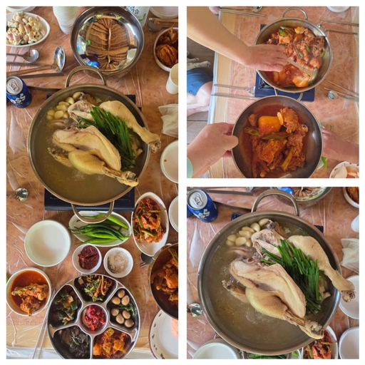 피드 이미지