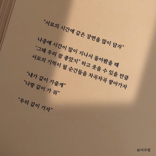 피드 이미지