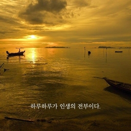 피드에 업로드 된 이미지