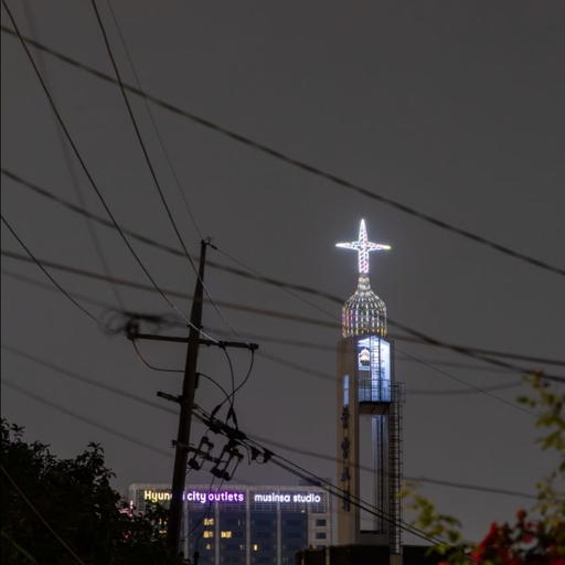 피드 이미지