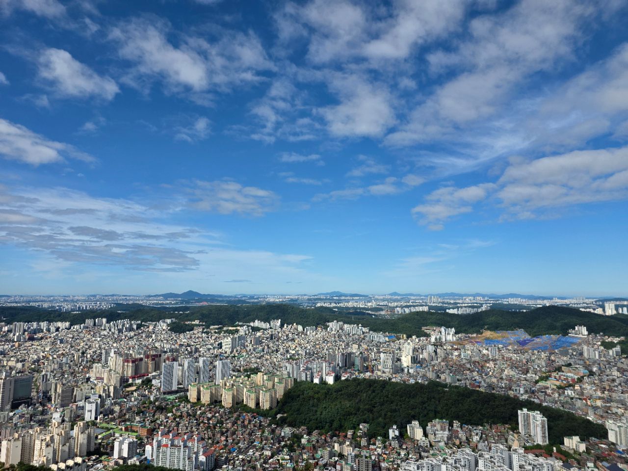 피드 이미지
