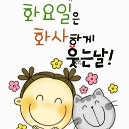 피드에 업로드 된 이미지