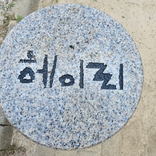 피드 이미지