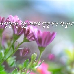 피드에 업로드 된 이미지