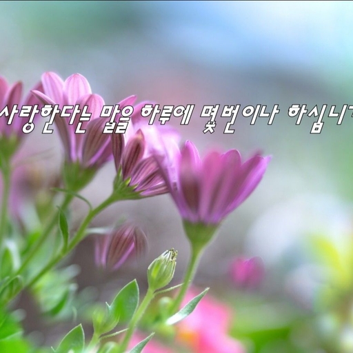 피드 이미지