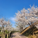 멤버 프로필