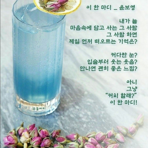 피드 이미지
