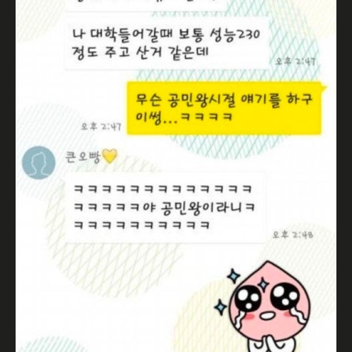 피드 이미지