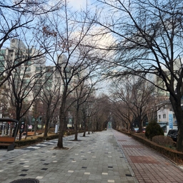 피드에 업로드 된 이미지