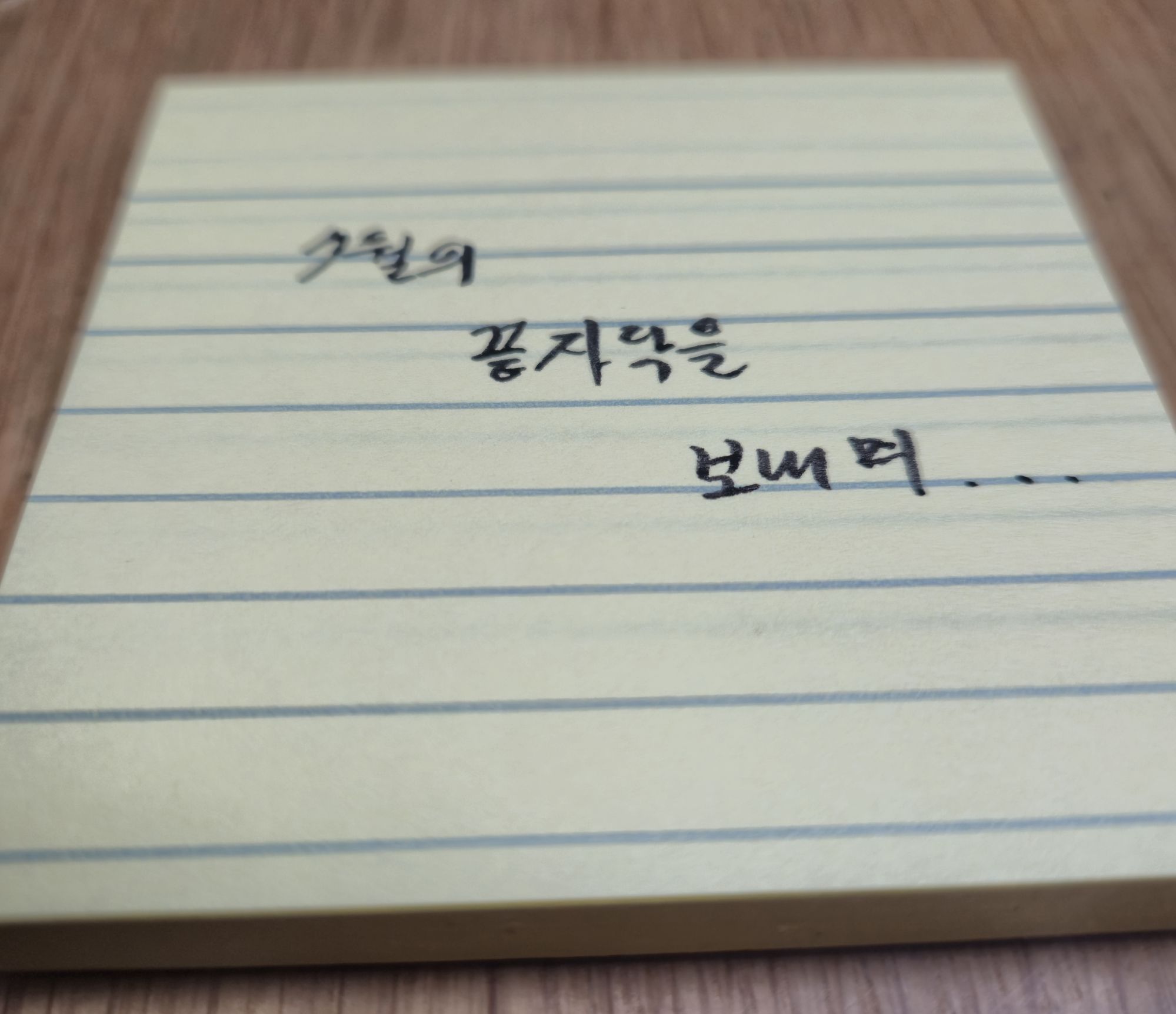 피드 이미지