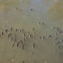 피드에 업로드 된 이미지