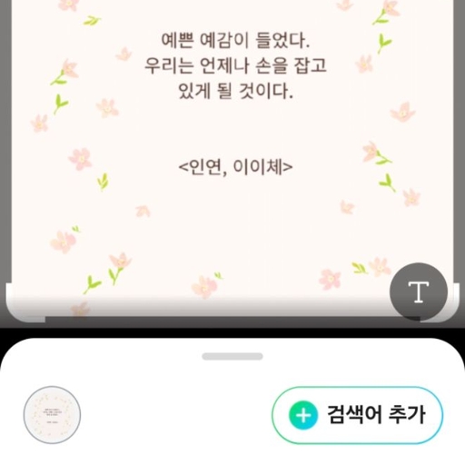 피드 이미지