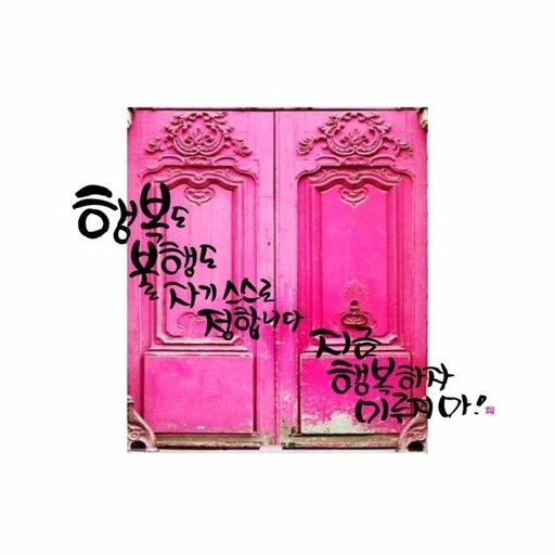 피드 이미지