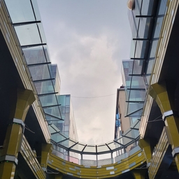 피드에 업로드 된 이미지