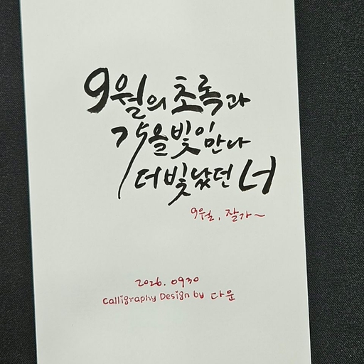 피드 이미지