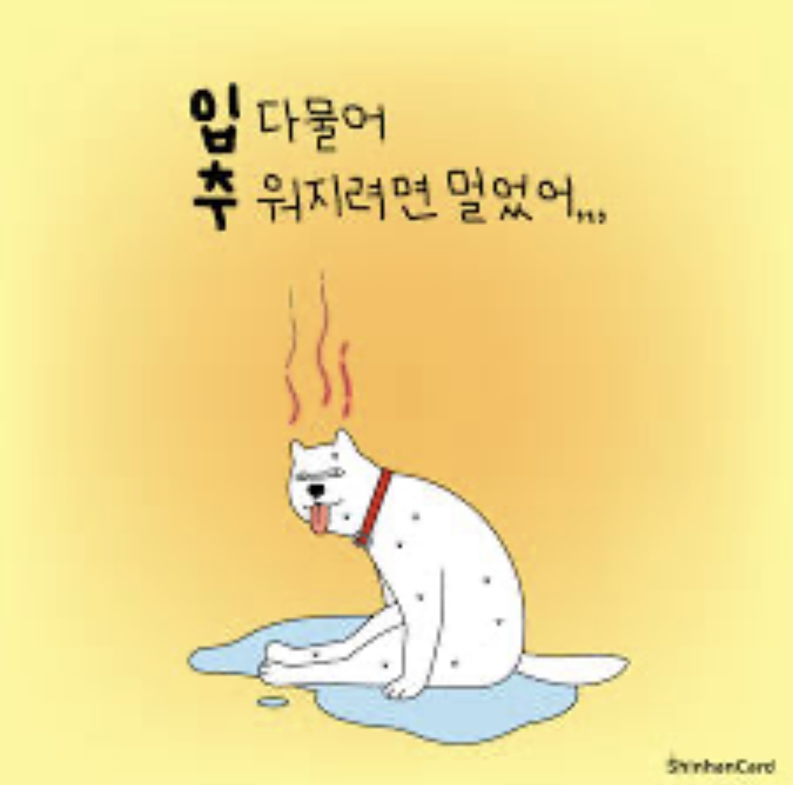 피드에 업로드 된 이미지