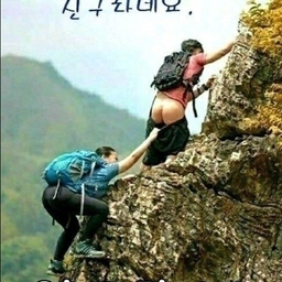 피드에 업로드 된 이미지