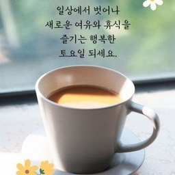 피드에 업로드 된 이미지