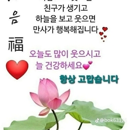 피드에 업로드 된 이미지