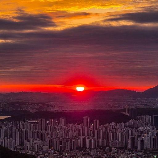피드 이미지