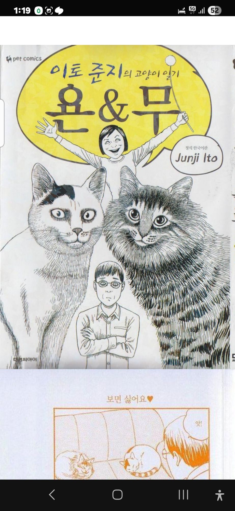 피드 이미지