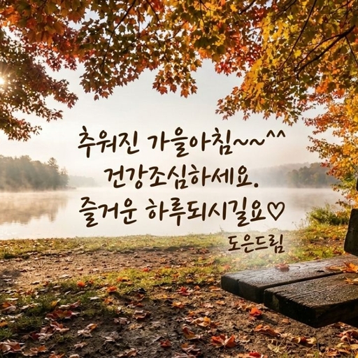 피드 이미지
