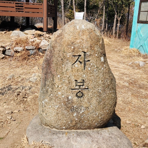 피드 이미지