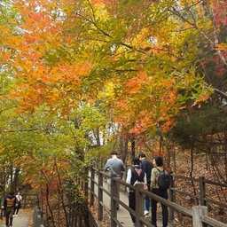 피드에 업로드 된 이미지