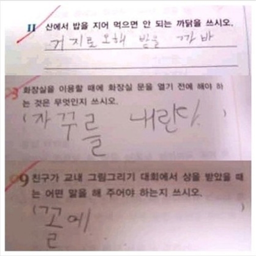 피드 이미지