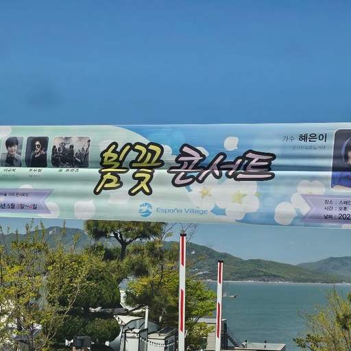 피드 이미지