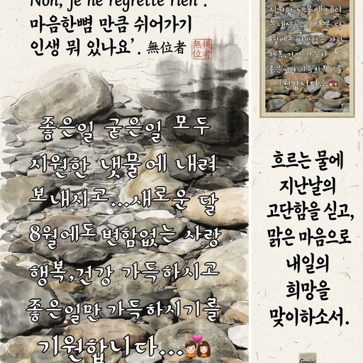 피드 이미지
