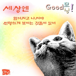 피드에 업로드 된 이미지