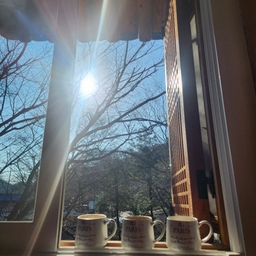 피드에 업로드 된 이미지