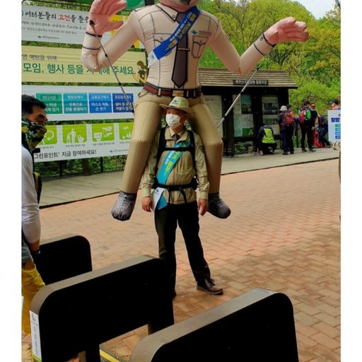 피드 이미지