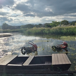 피드에 업로드 된 이미지
