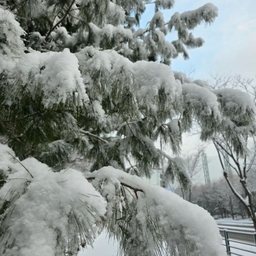 피드에 업로드 된 이미지