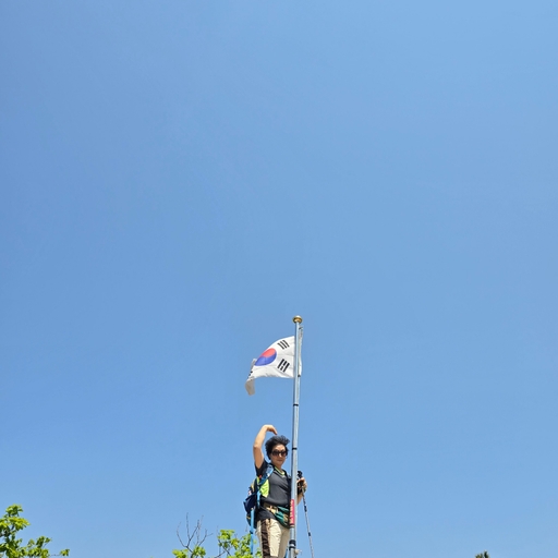 피드 이미지