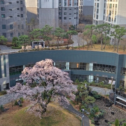 피드에 업로드 된 이미지