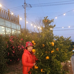 피드에 업로드 된 이미지