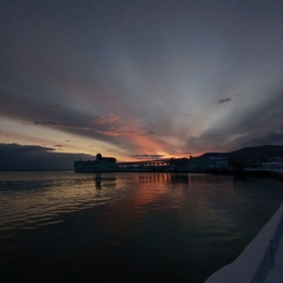 피드에 업로드 된 이미지