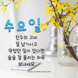 피드에 업로드 된 이미지