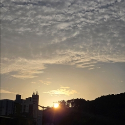 피드에 업로드 된 이미지