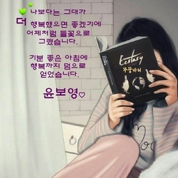 피드에 업로드 된 이미지